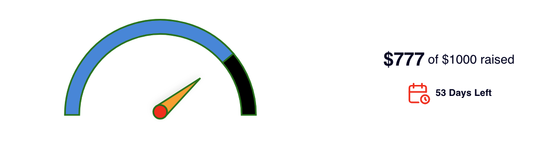 Multimeter In Css Custom CSS and Goal Meters