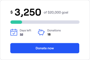 Donation Progress